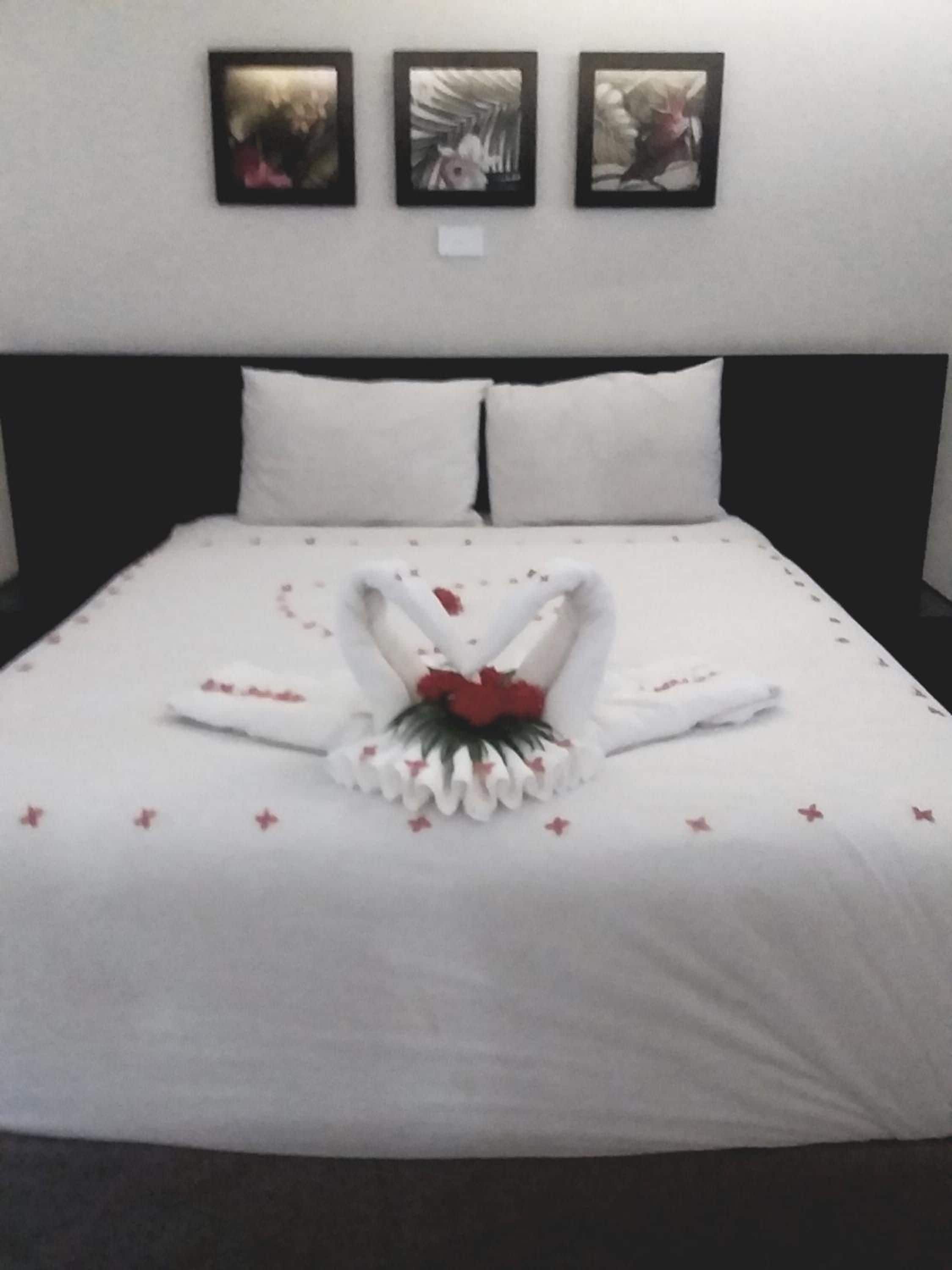 Photo - Hotel Oasis