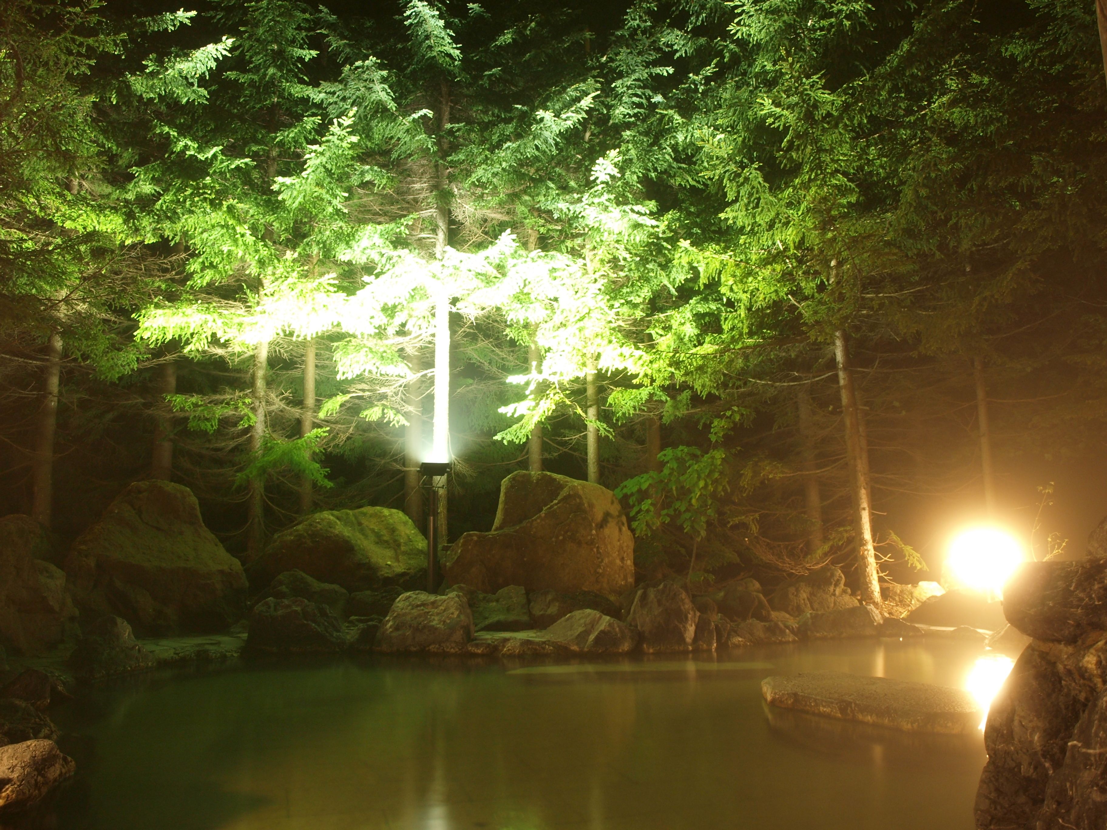 A serene forest scene with a pond, rocks, and a light source in the center.