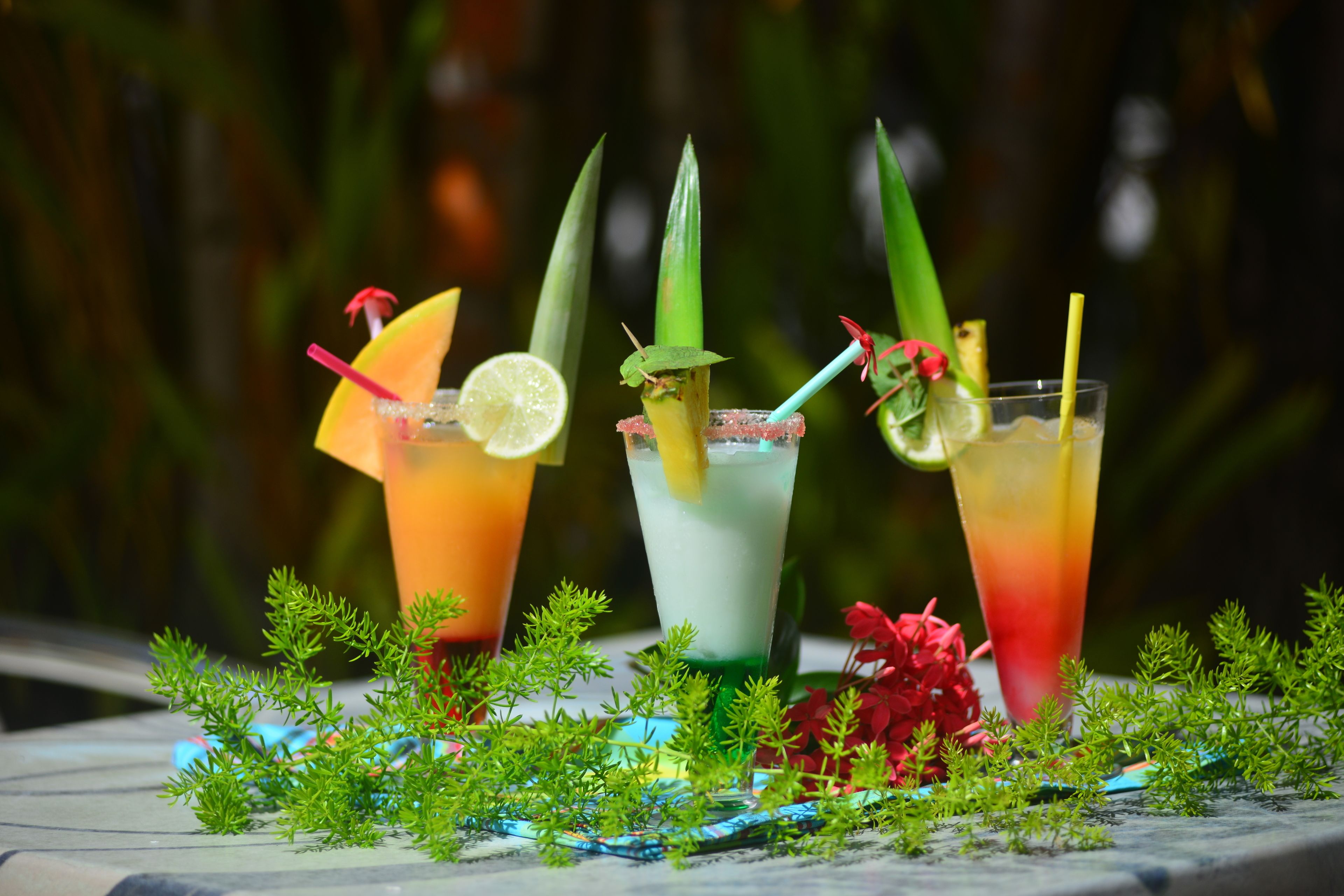 Drei Cocktails mit Garnitur, umgeben von Grün auf einer Tischplatte.