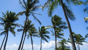 A tropical beach scene with palm trees and a clear blue sky. - Hotel Fleur d'Epée (Le Gosier)