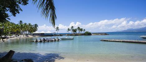 Une plage avec une eau cristalline, des palmiers et des bateaux.