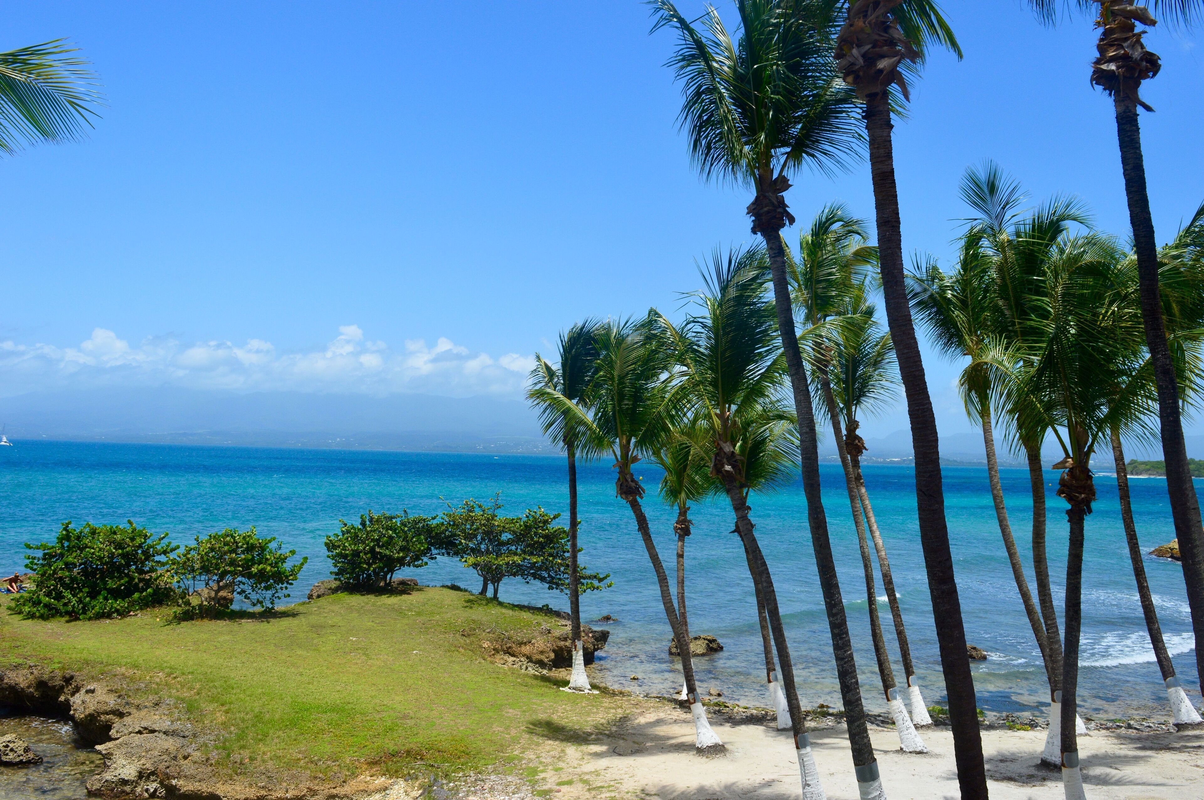 Suite – junior, terrasse | Sengetøy av topp kvalitet, dundyner og safe på rommet