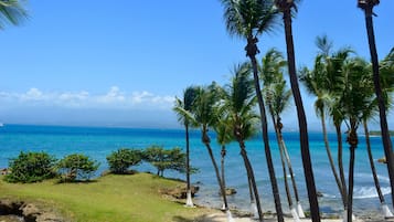 Suite Junior, teras | Seprai premium, selimut bulu angsa, brankas, dan didekorasi berbeda-beda