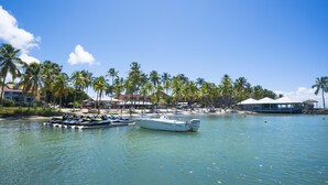 A marina with boats, a beach, and palm trees. - Hotel Fleur d'Epée (Le Gosier)