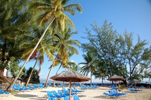 Plage à proximité, chaises longues, parasols, serviettes de plage