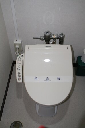 Hair dryer, slippers, electronic bidet, towels