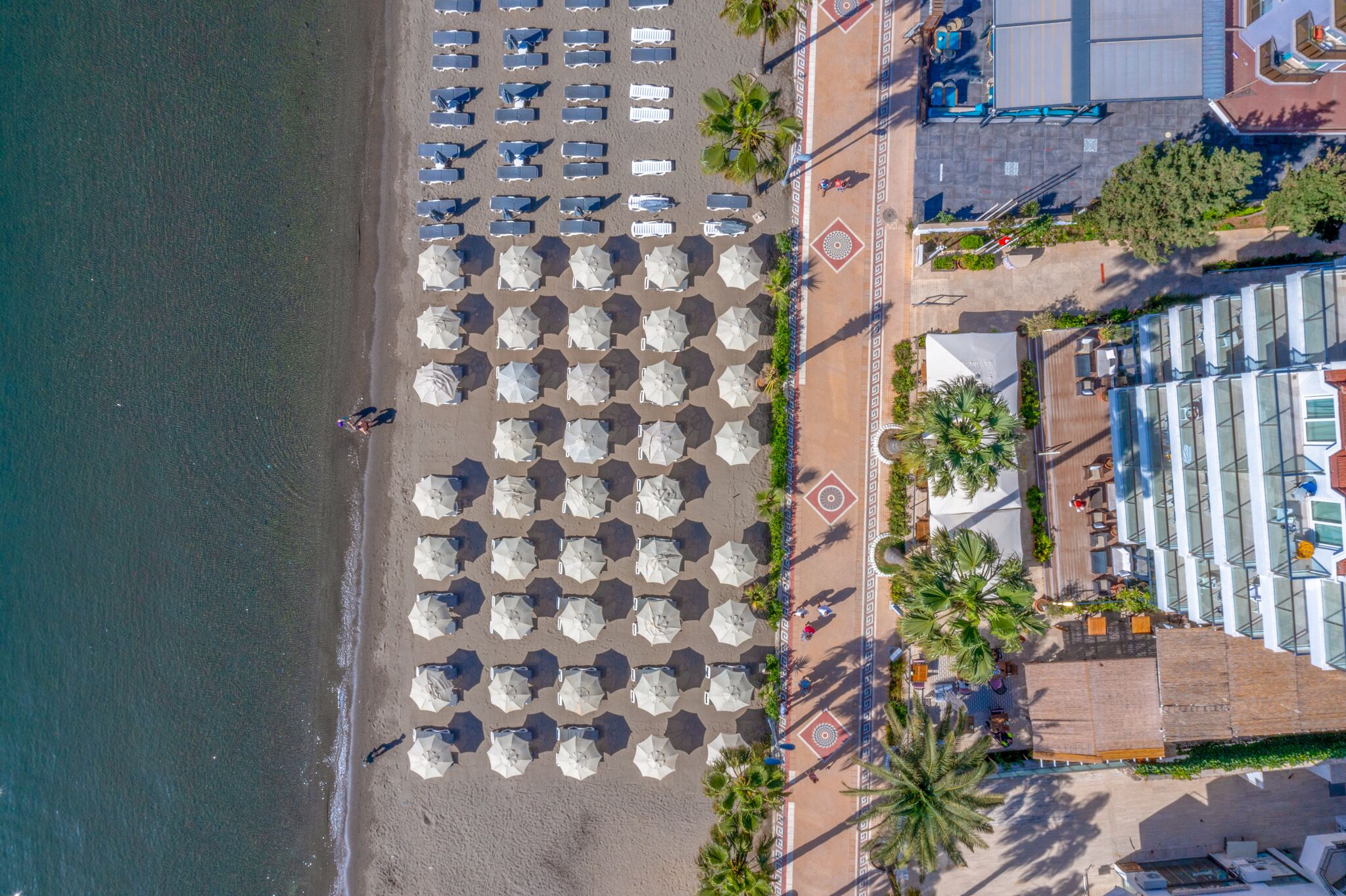 An aerial view of a beach with rows of umbrellas and lounge chairs, a palm tree-lined promenade, and a building with large windows.