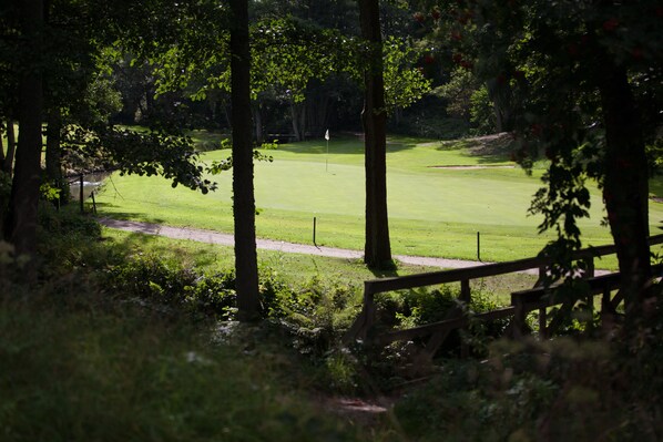En golfbane med en tydelig sti, omgivet af træer og et træhegn.