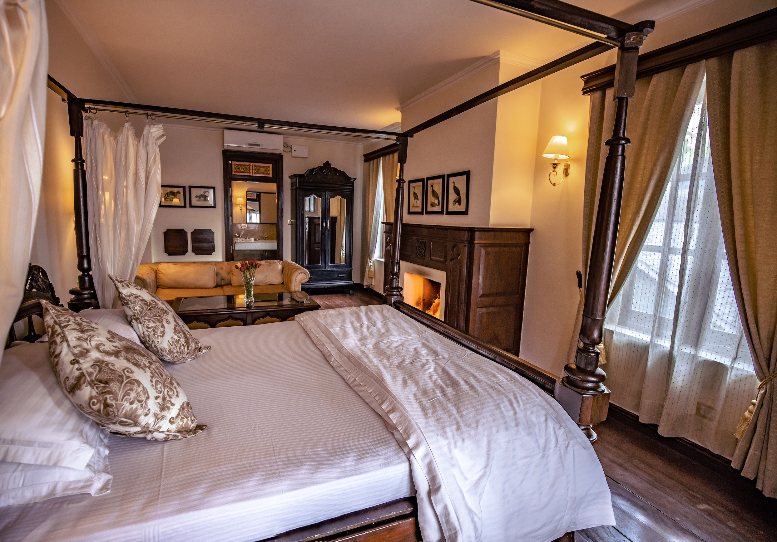 Room (Run of the house)