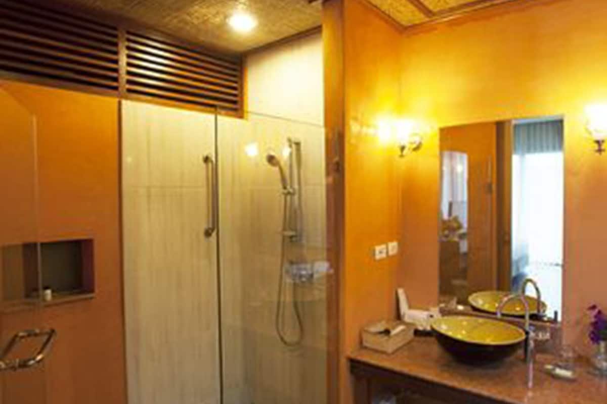 shower, free toiletries, hair dryer, bathrobes