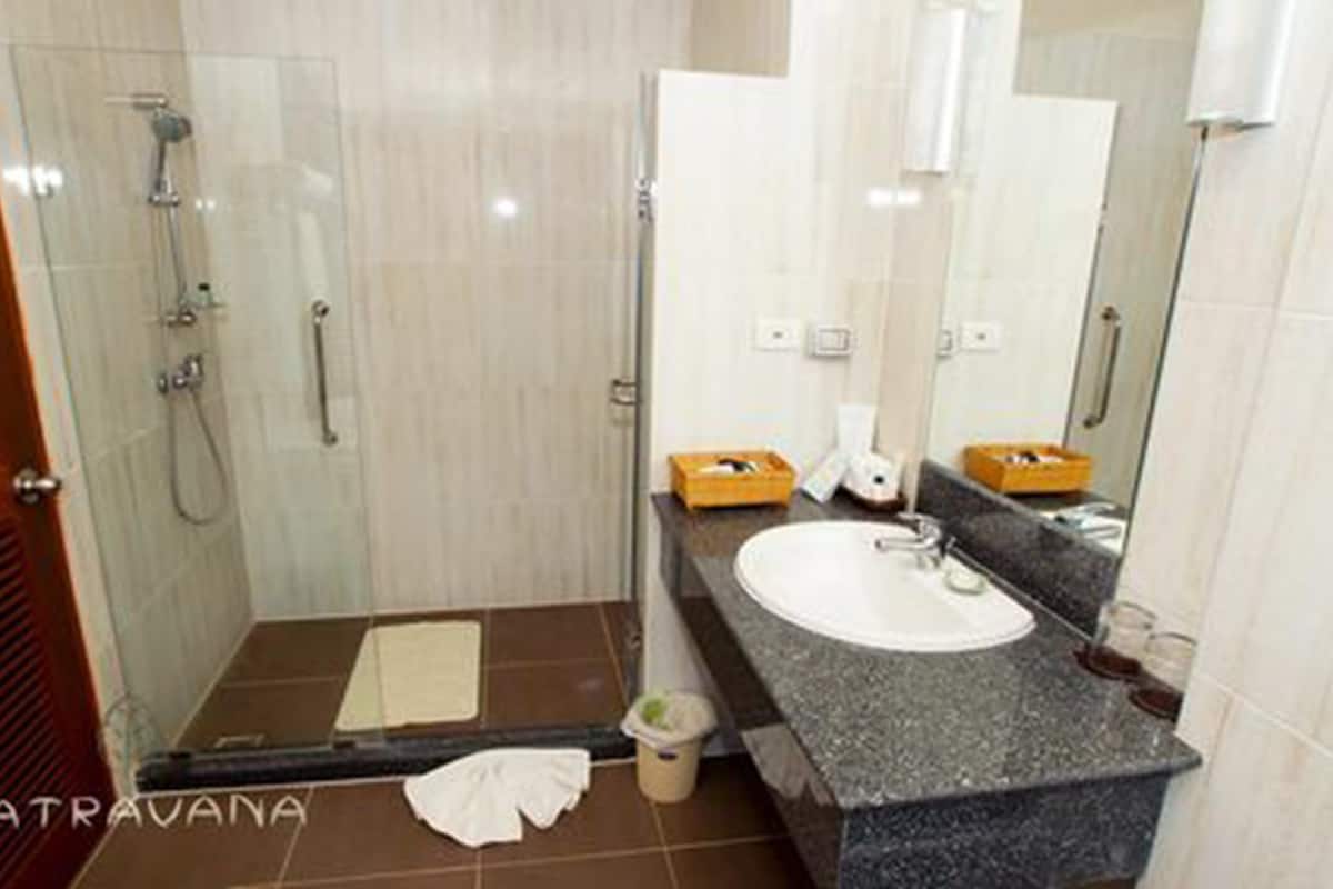 shower, free toiletries, hair dryer, bathrobes