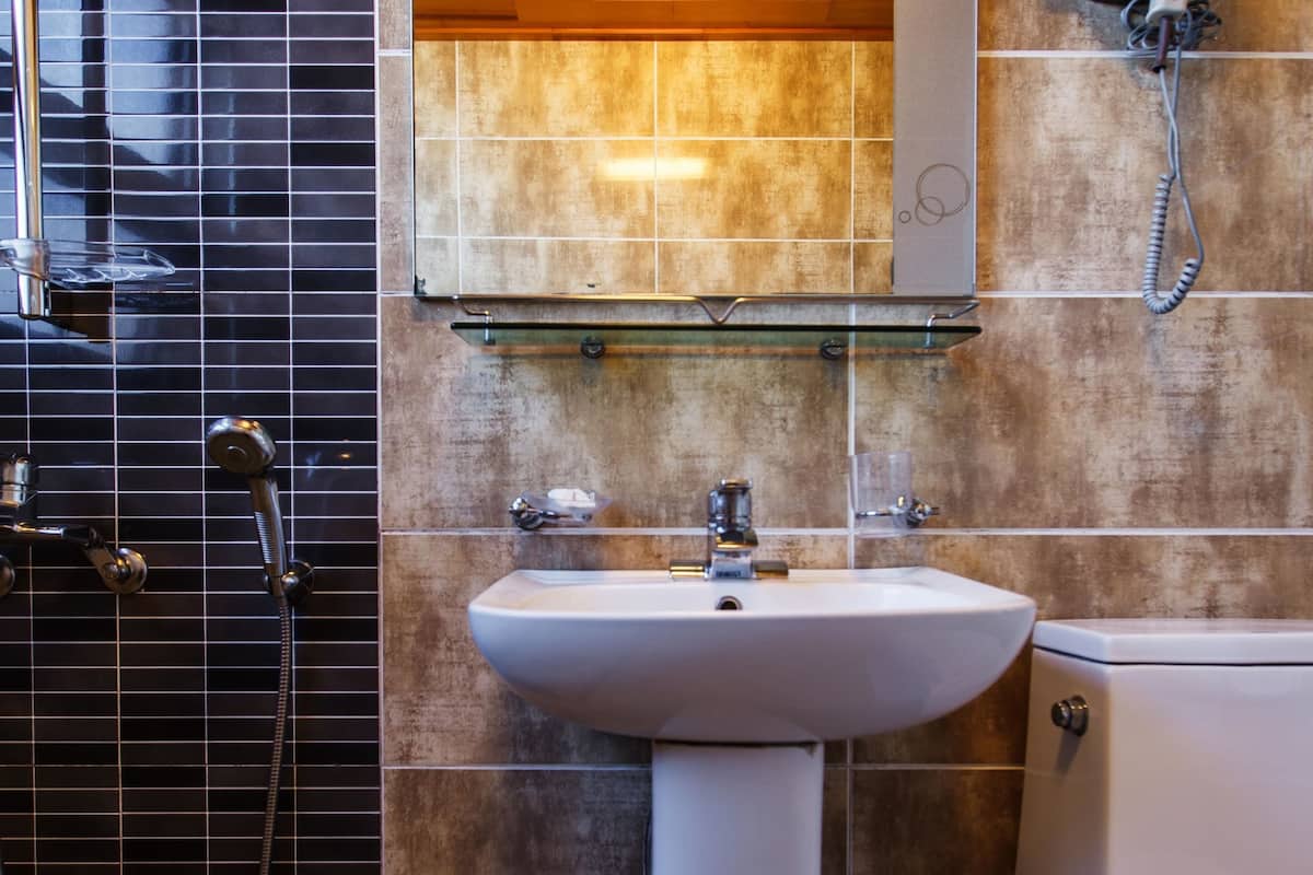 combined shower/bathtub, free toiletries, hair dryer, slippers