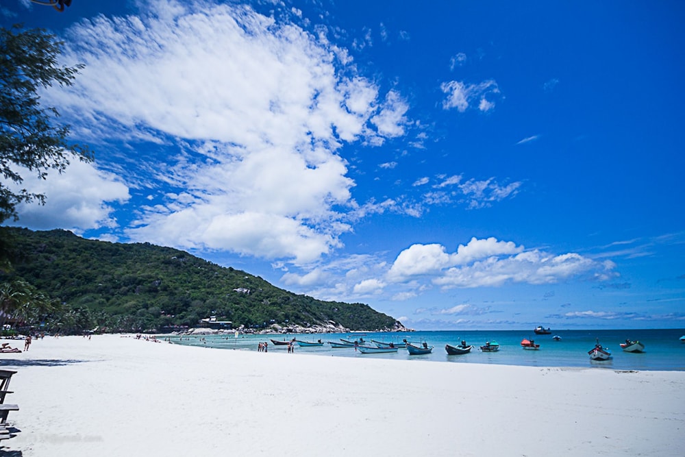 Paradise Bungalows by null