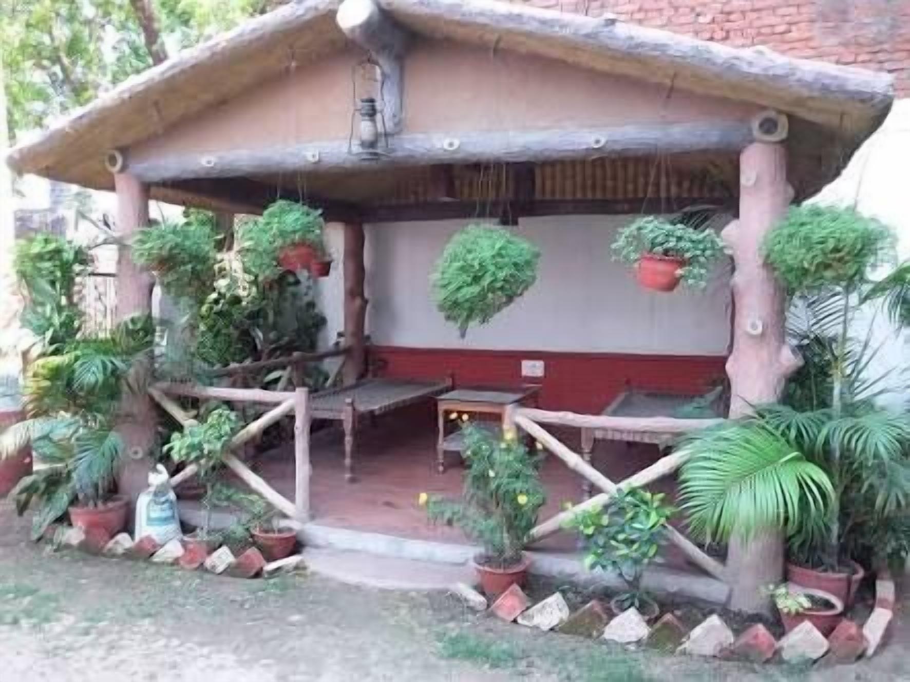 A rustic building with a thatched roof, surrounded by potted plants and a small table.