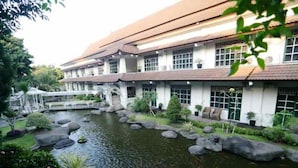 Ảnh chưa phân loại, 3 trong số 11 ảnh, nút