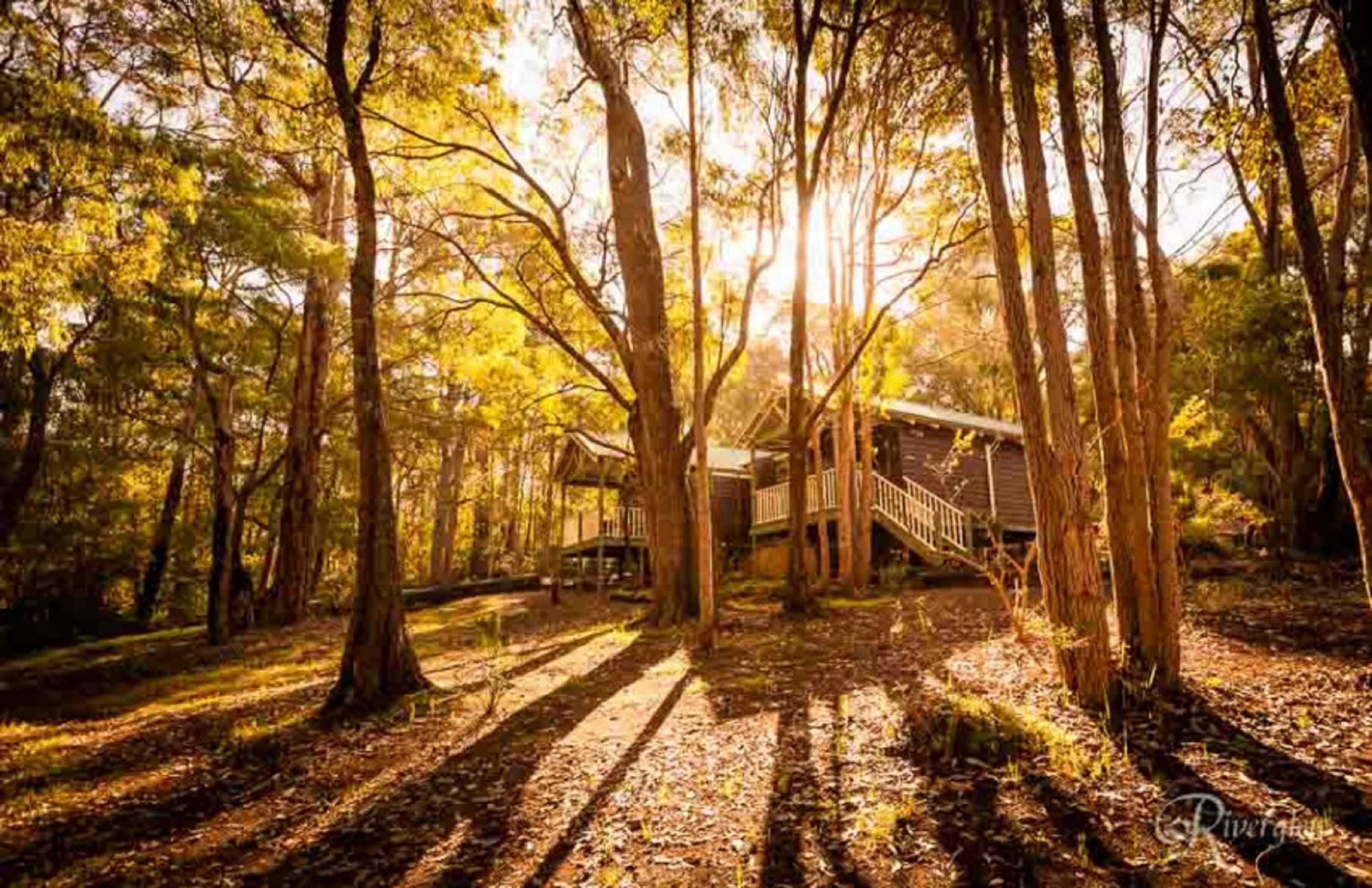 Standard Studio | Iron/ironing board, cots/infant beds, rollaway beds