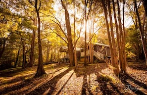 Iron/ironing board, cots/infant beds, rollaway beds - Riverglen Chalets (Margaret River)