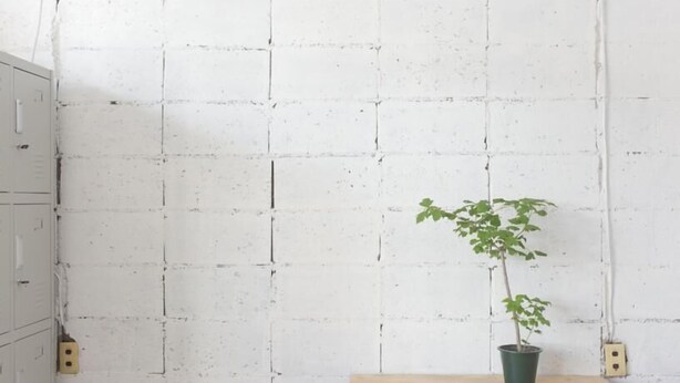 A white brick wall with a green potted plant. - Nikkosan BackPackers Inn - Hostel (Nikko)