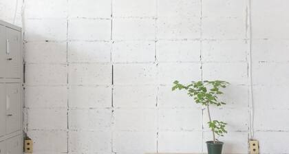 Nikkosan BackPackers Inn - Hostel