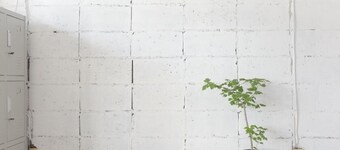 Nikkosan BackPackers Inn - Hostel