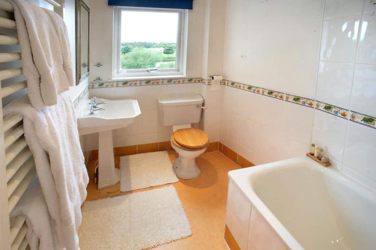 free toiletries, hair dryer, towels