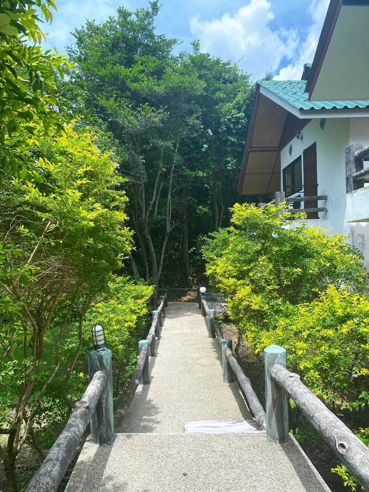A pathway leading to a building with a traditional architectural style, surrounded by lush greenery.