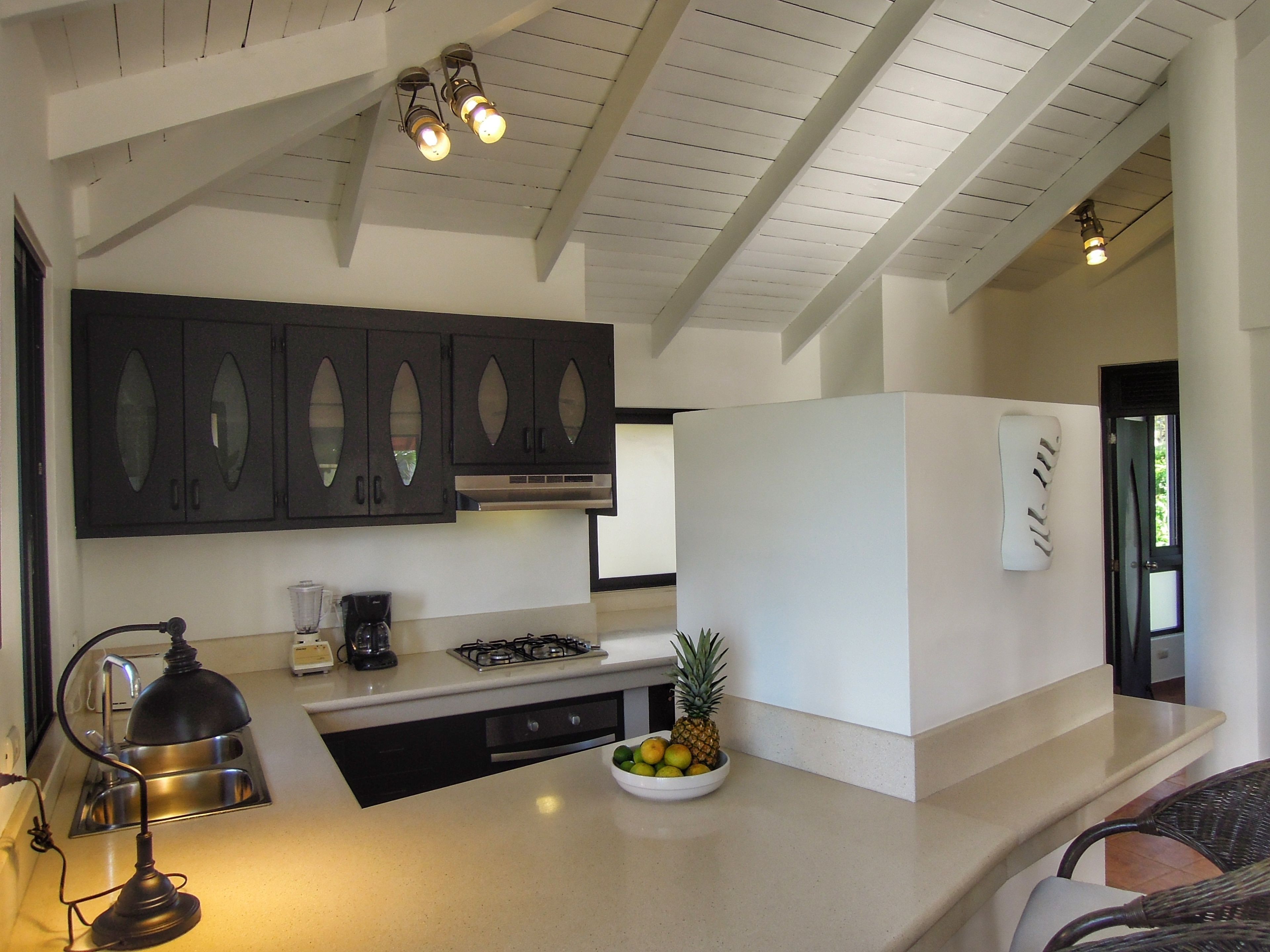 penthouse, 2 bedrooms | private kitchen