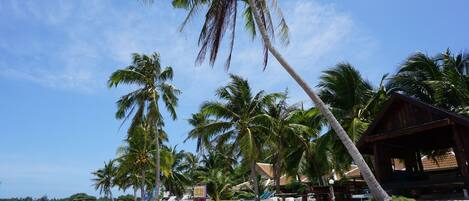 Vista da propriedade