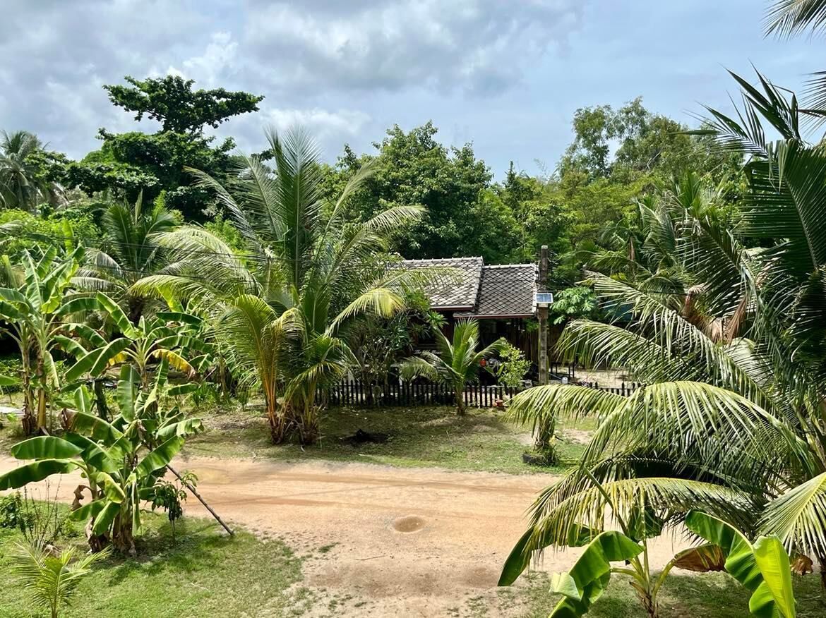 A tropical garden with a wooden structure, surrounded by various palm trees and lush greenery.