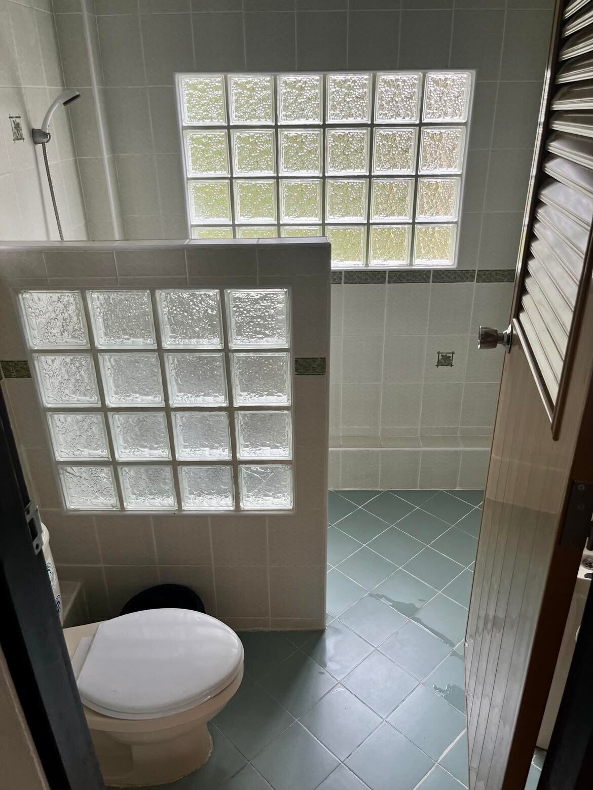 A bathroom with a toilet, a shower, and frosted glass windows.