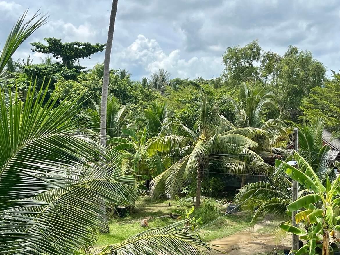 superior room, garden area | terrace/patio