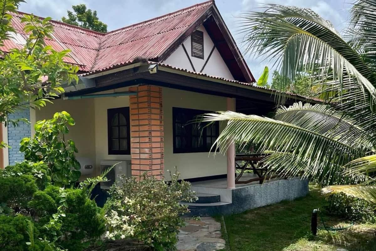 A house with a stone pathway leading to the entrance, surrounded by lush greenery and a palm tree.