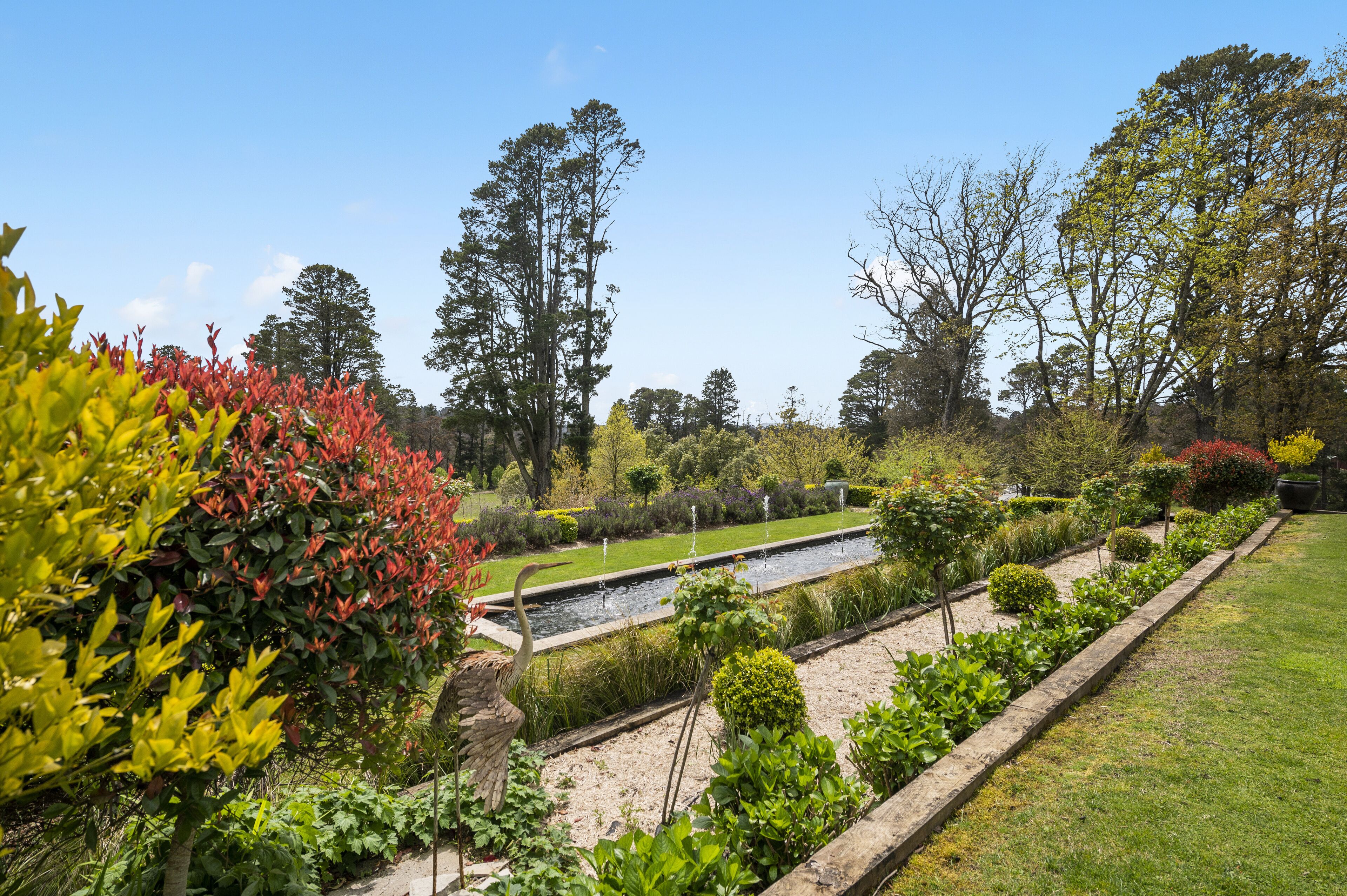 A garden with a water feature, various plants, and trees.
