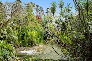 Garden - Parklands Country Gardens and Lodges (Blackheath)
