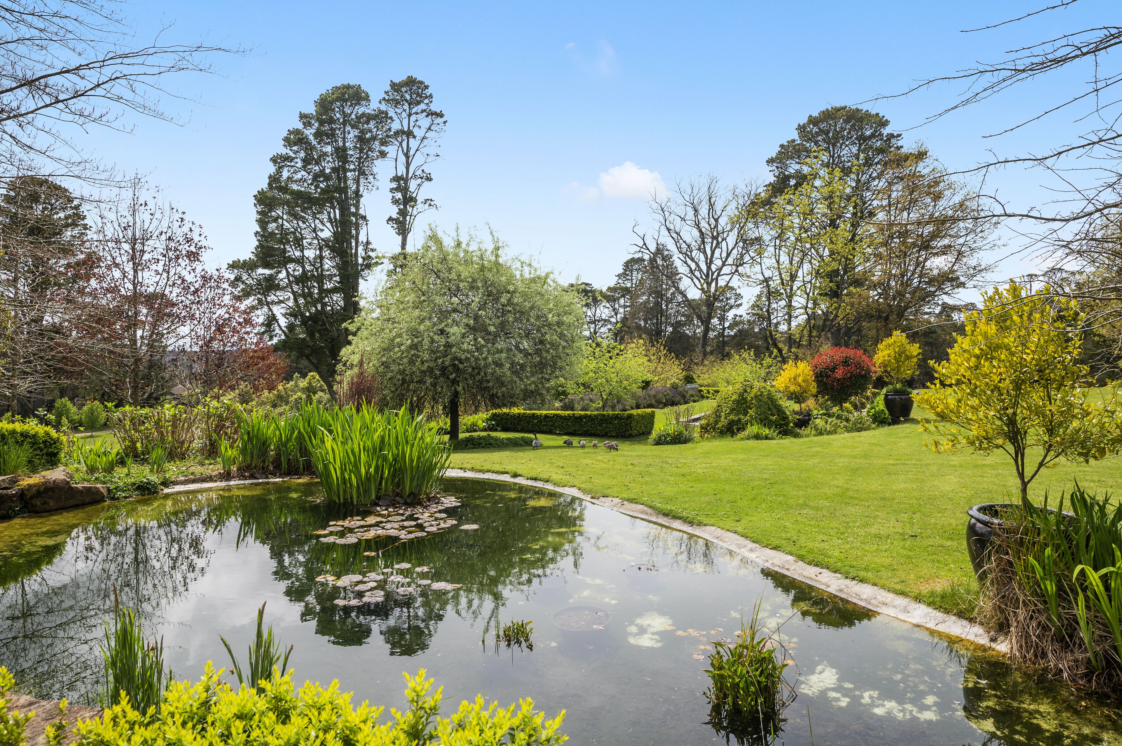 A serene garden with a pond, lush greenery, and a well-maintained lawn.