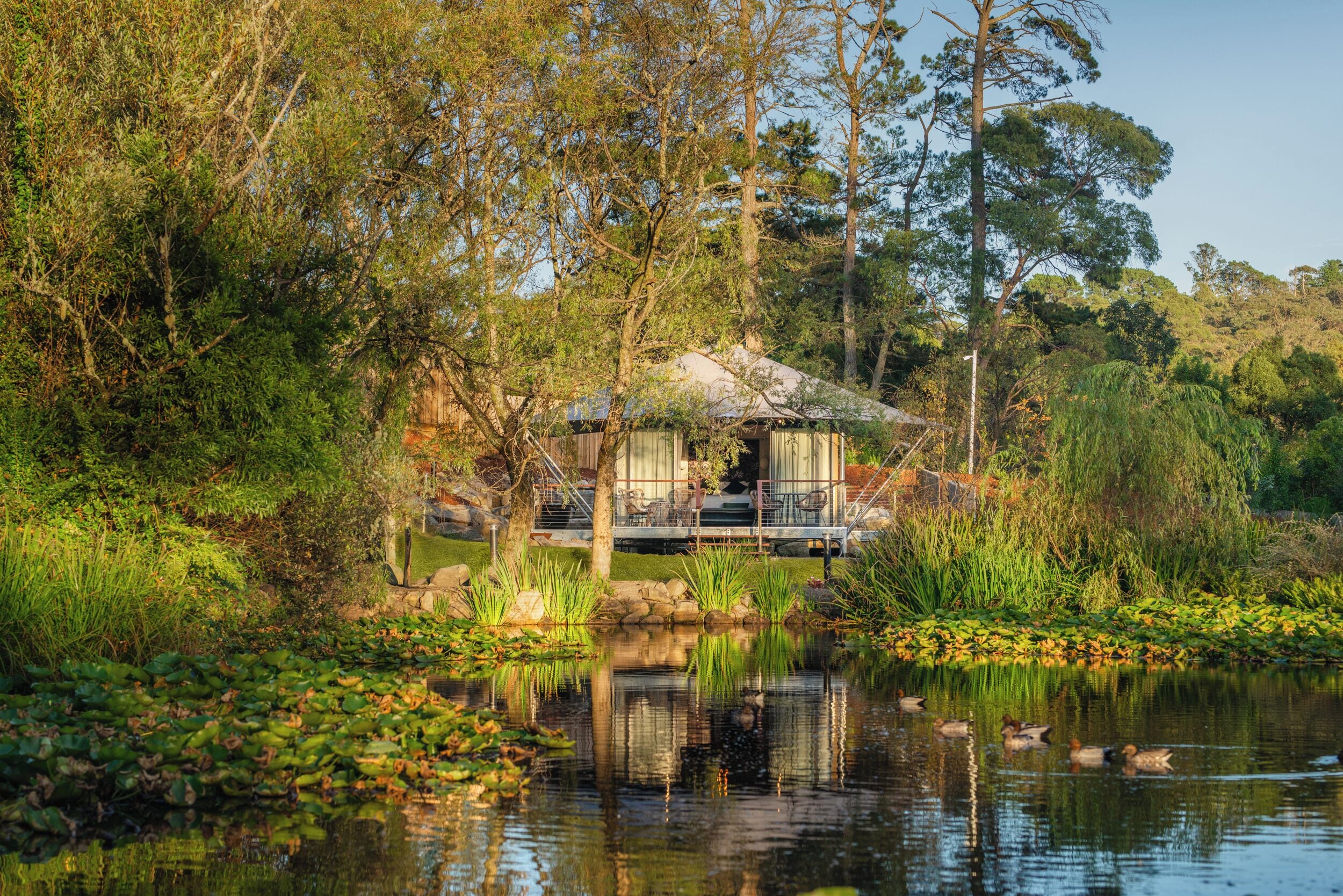 A serene lakeside setting with a wooden cabin surrounded by lush greenery and a calm pond reflecting the trees.