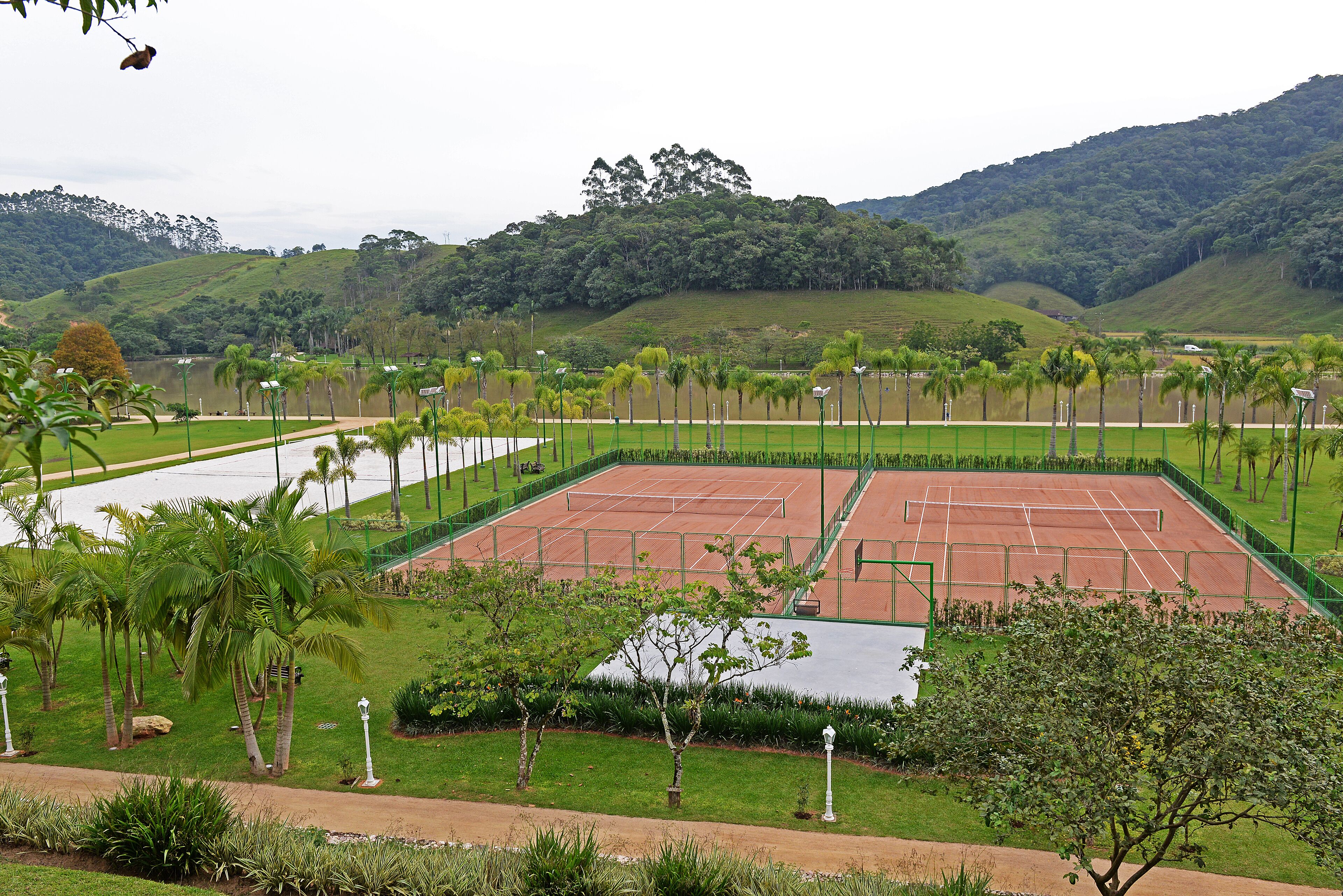 A tennis court surrounded by greenery and palm trees.