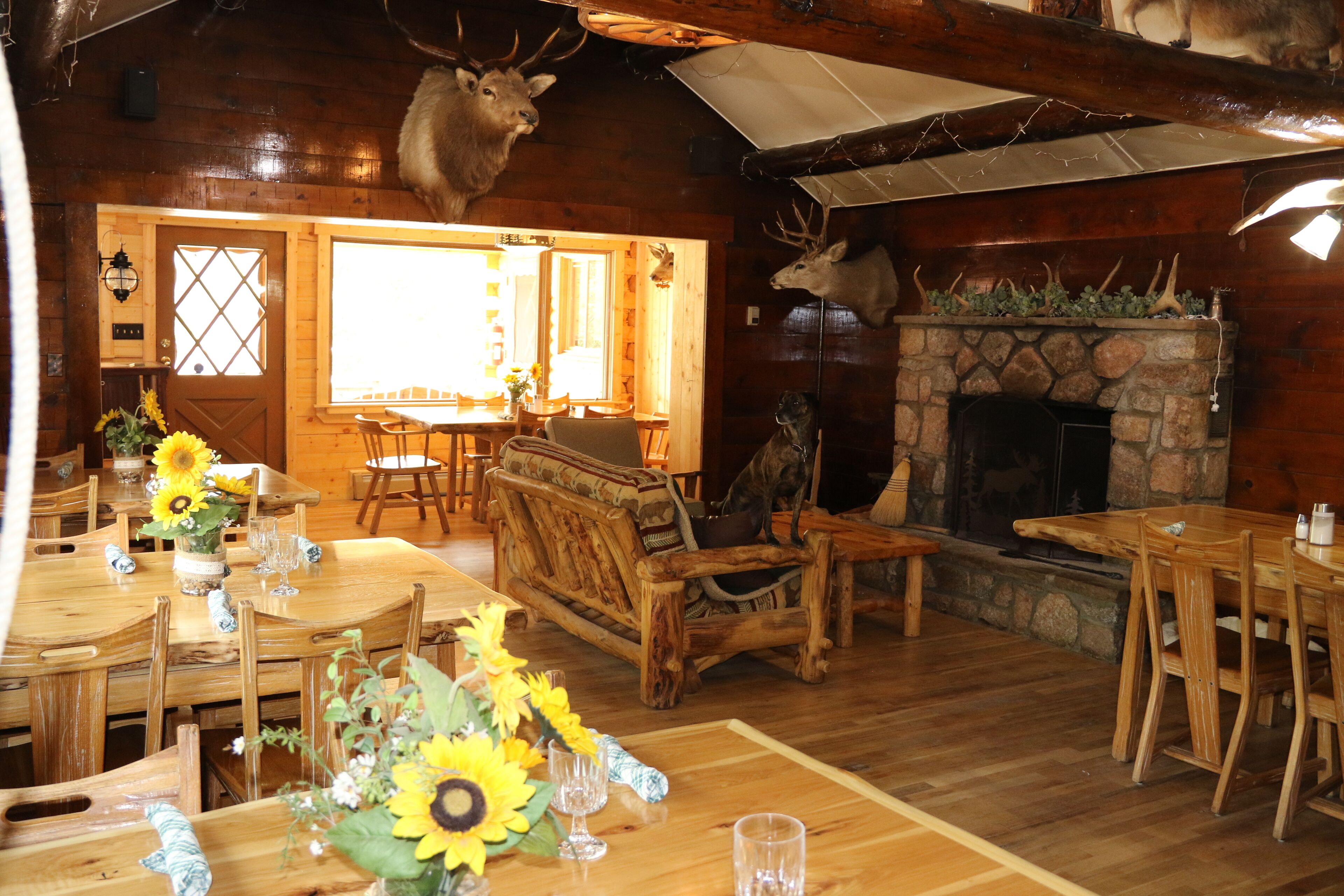 family cabin | in-room dining