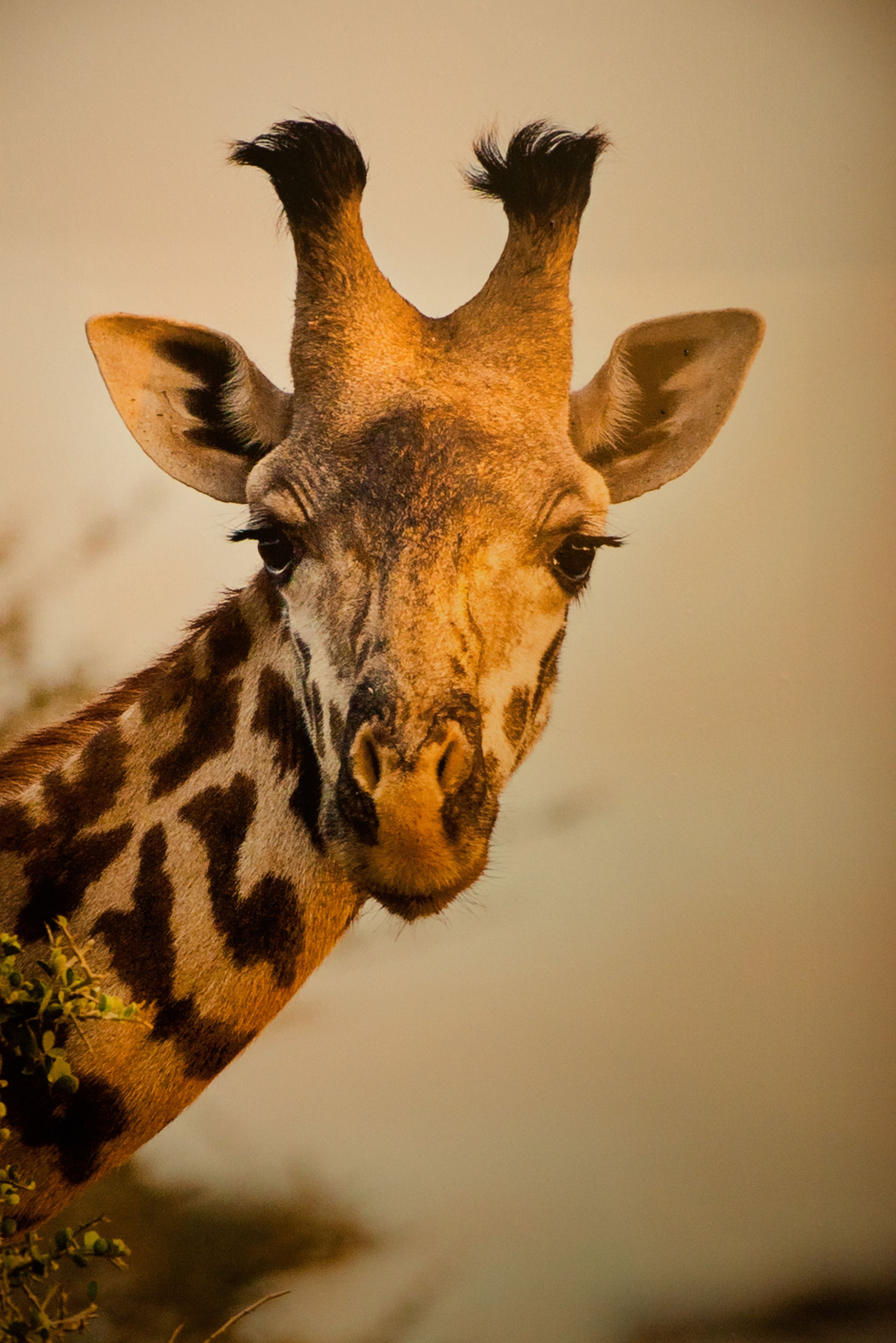 romantic room | bathroom | shower, designer toiletries, hair dryer, bathrobes