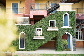 A building with a staircase covered in greenery, multiple windows, and a balcony.