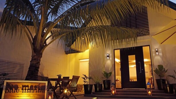 A hotel entrance with a palm tree, outdoor seating, and potted plants. - Blue Marina (Boracay Island)