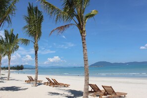 Una playa con palmeras y sillas de madera para tomar el sol.
