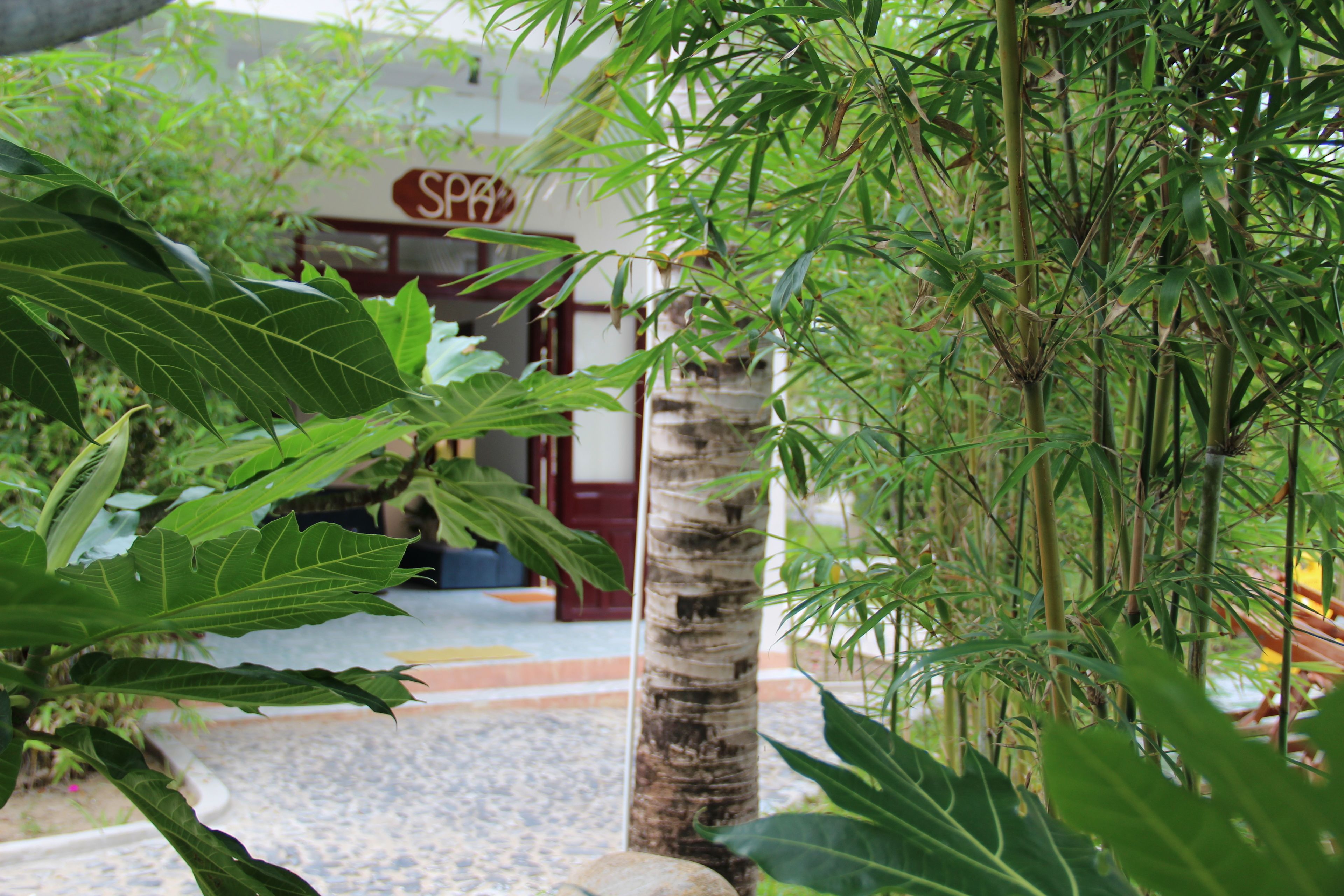 Sauna, hot tub, steam room, body treatments, hydrotherapy, aromatherapy