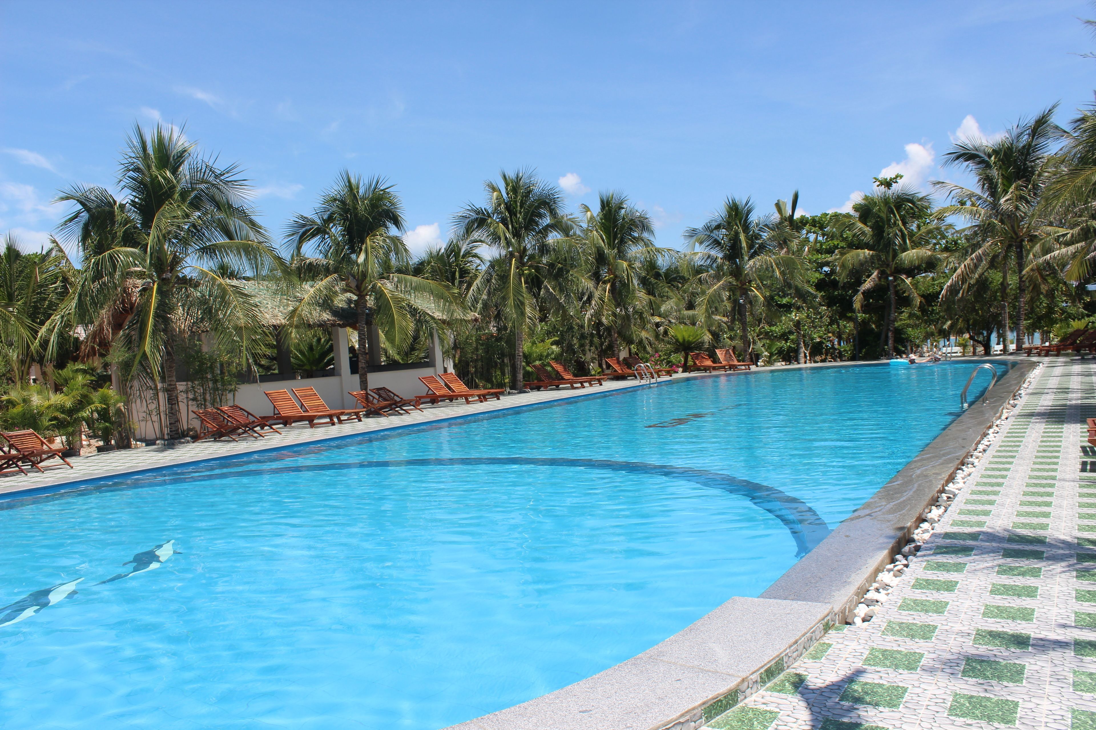 Outdoor pool, pool umbrellas, sun loungers