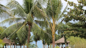 Un resort frente a la playa con palmeras, cabañas de techo de paja y vista al mar.