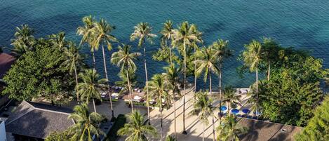 An aerial view of a beach with palm trees and a building with a tiled roof.