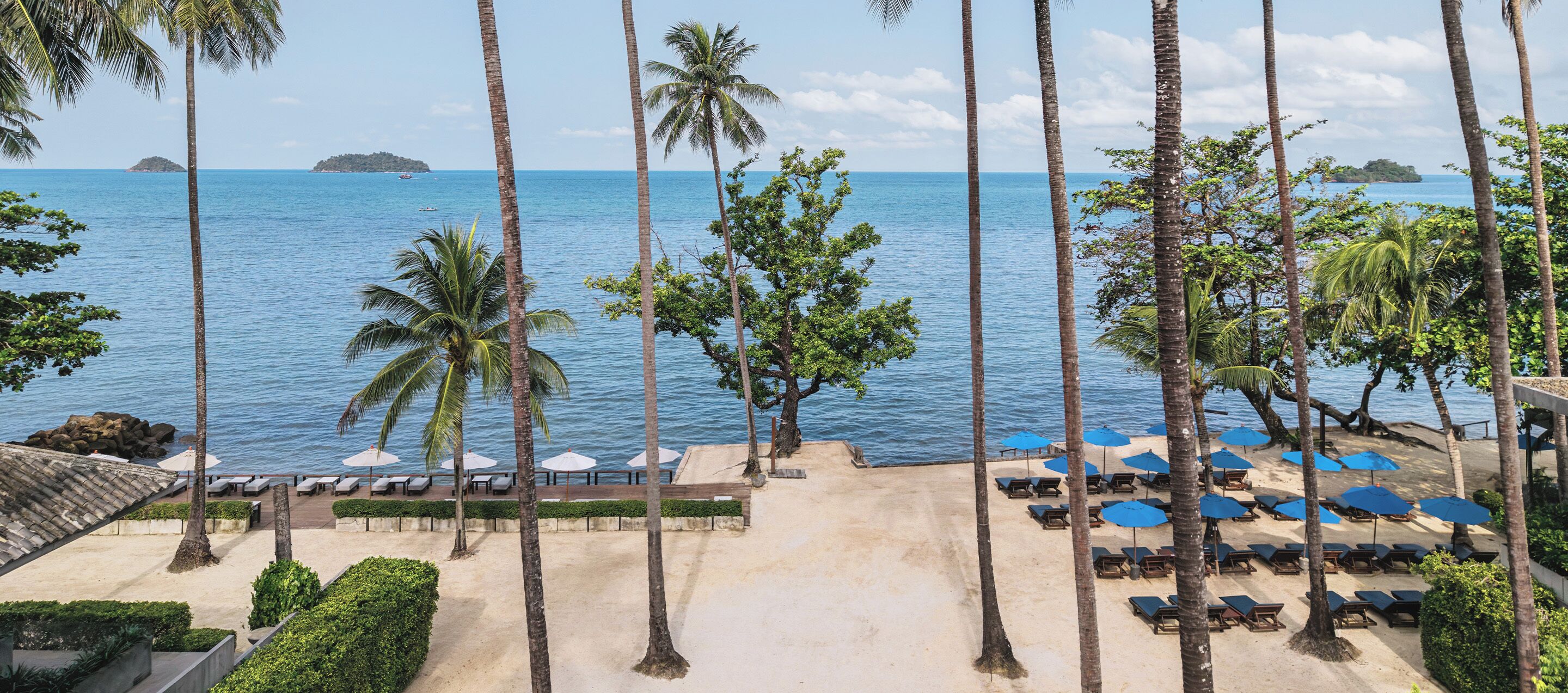 A beach resort with palm trees, lounge chairs, and umbrellas.