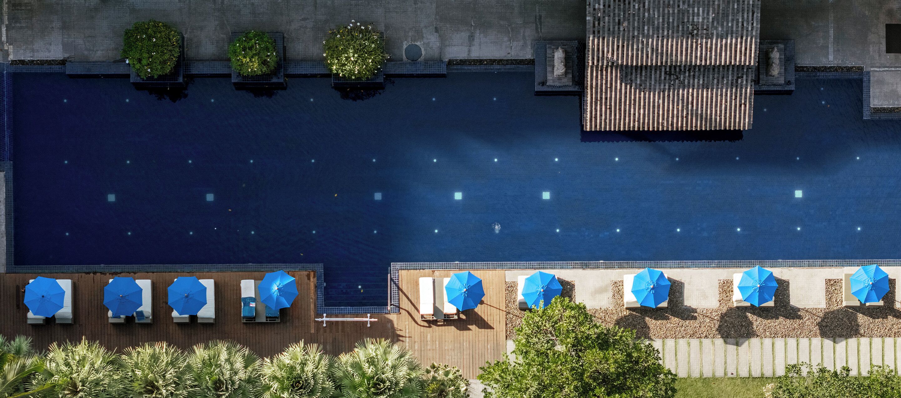 Vista aérea de una zona de piscina en la azotea con múltiples sillones de descanso y sombrillas, rodeada de vegetación y una terraza de madera.