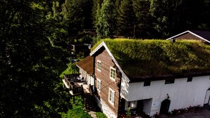 A house with a grass roof, surrounded by dense forest.