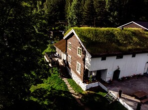 A house with a grass roof, surrounded by dense forest.